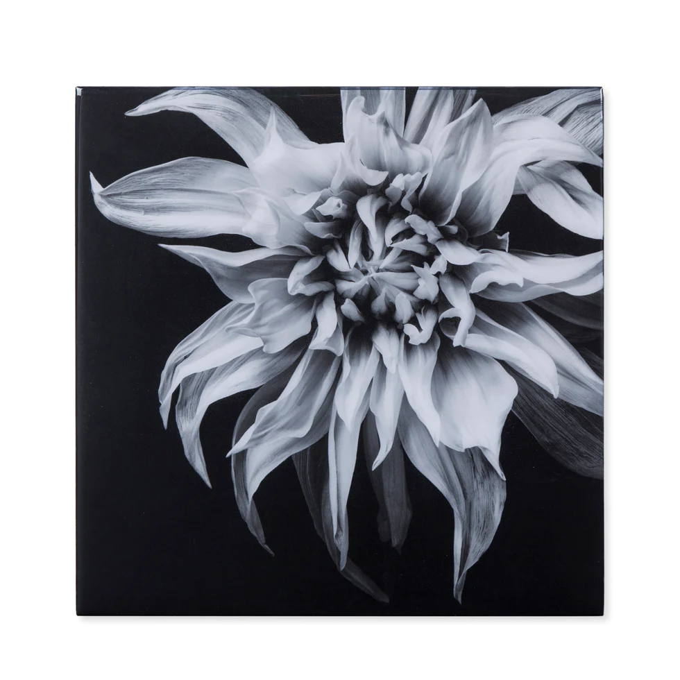 SONDER LIVING - Black and White Flower - Epoxy / F