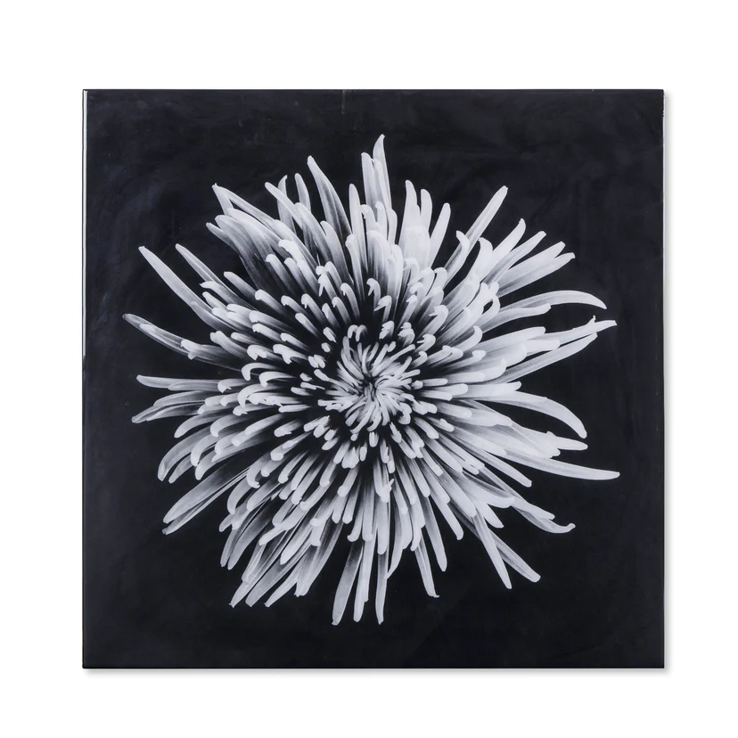 SONDER LIVING - Black and White Flower - Epoxy / A